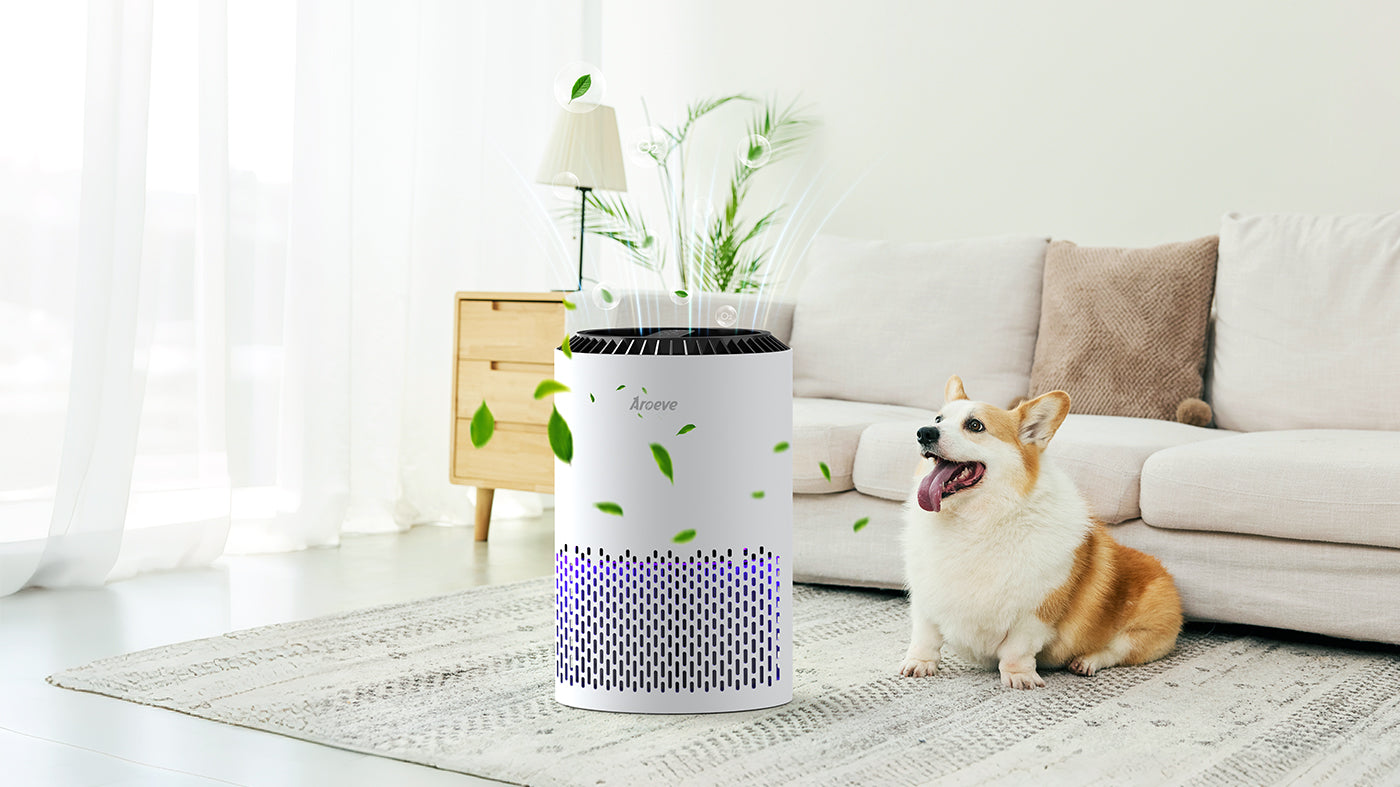 what does an air purifier do?