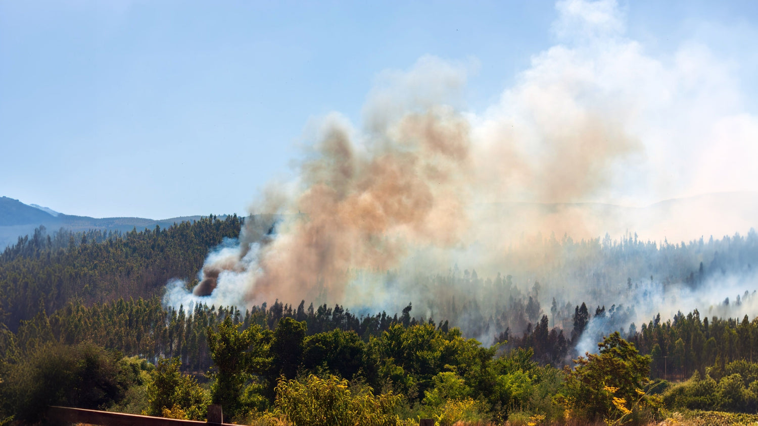 How to Protect Indoor Air Quality During Wildfire Season?