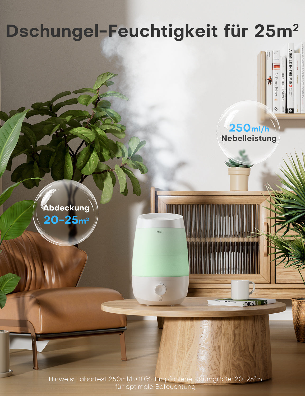 Humidificateur | JSD06