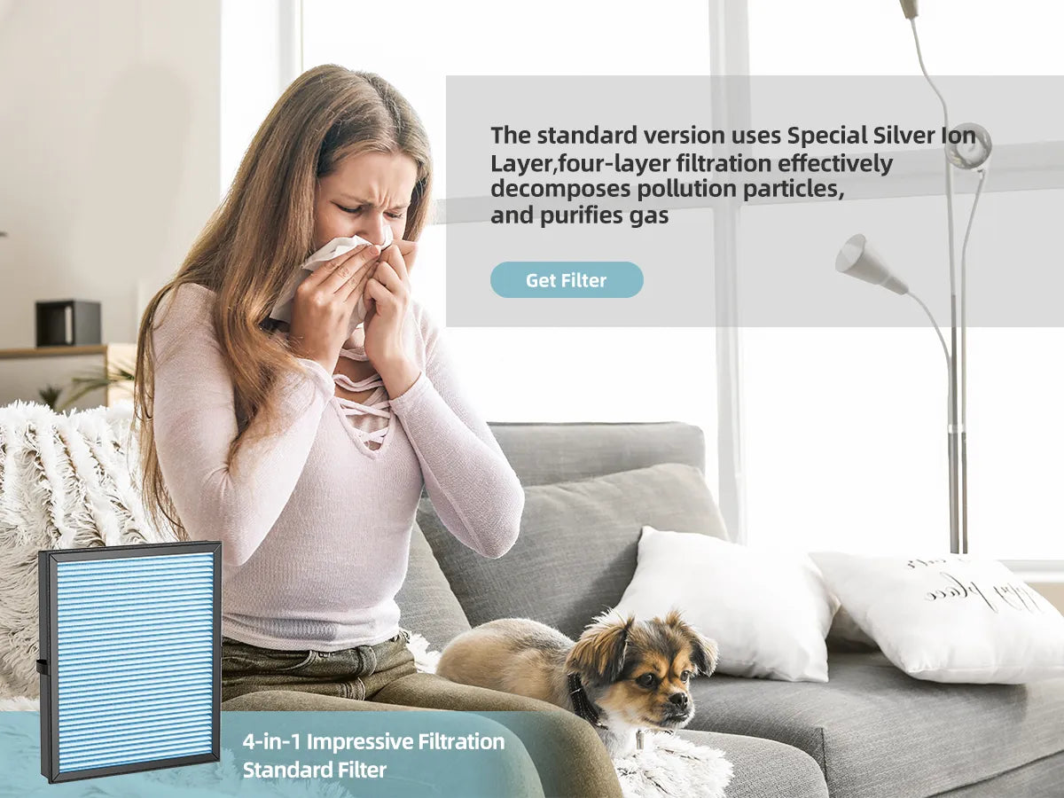 AROEVE Air Filter Replacement | MK04- Standard Version