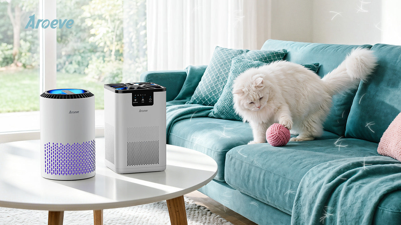 What is a HEPA filter?