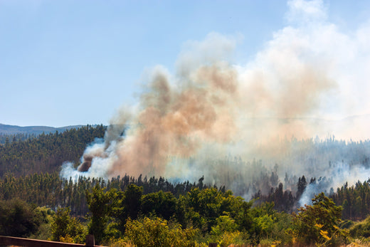 How to Protect Indoor Air Quality During Wildfire Season？