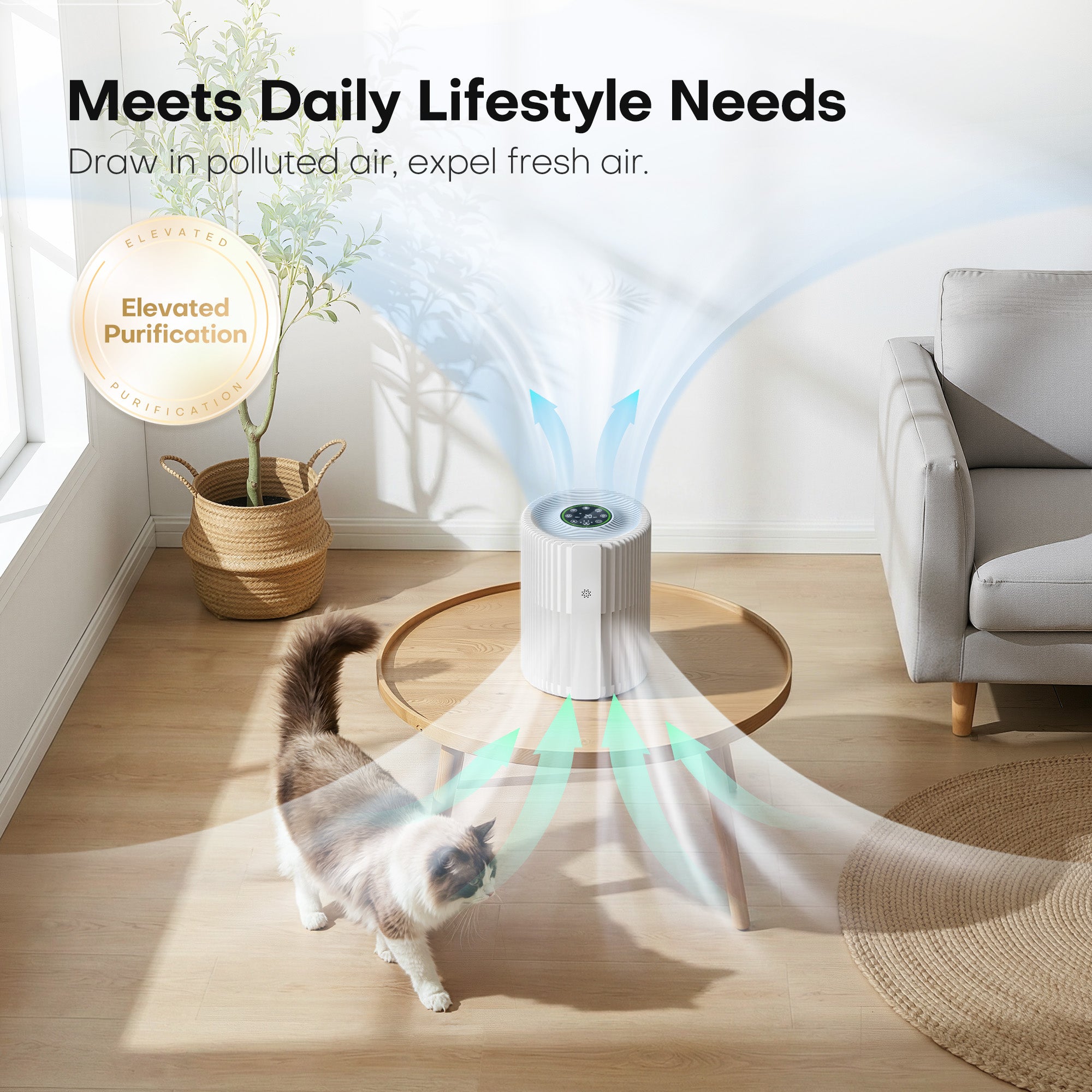 AROEVE Air Purifiers | MKD07W