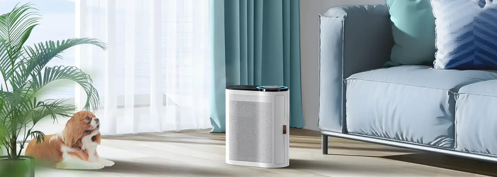 Best air purifiers for 2020 deals